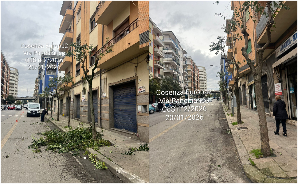 Cosenza, scatta la potatura su Via Panebianco: traffico rallentato per 10 giorni 51 Cosenza_potatura_via-panebianco