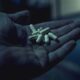 Calabria, l'epidemia invisibile: droghe a 12 anni e l'ombra del Fentanyl: "È un'emergenza generazionale" 62 Calabria droghe