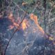 Incendia sterpaglie vicino alla strada e le fiamme si propagano, denunciato 53enne 65 Fiamme sterpaglie incendi