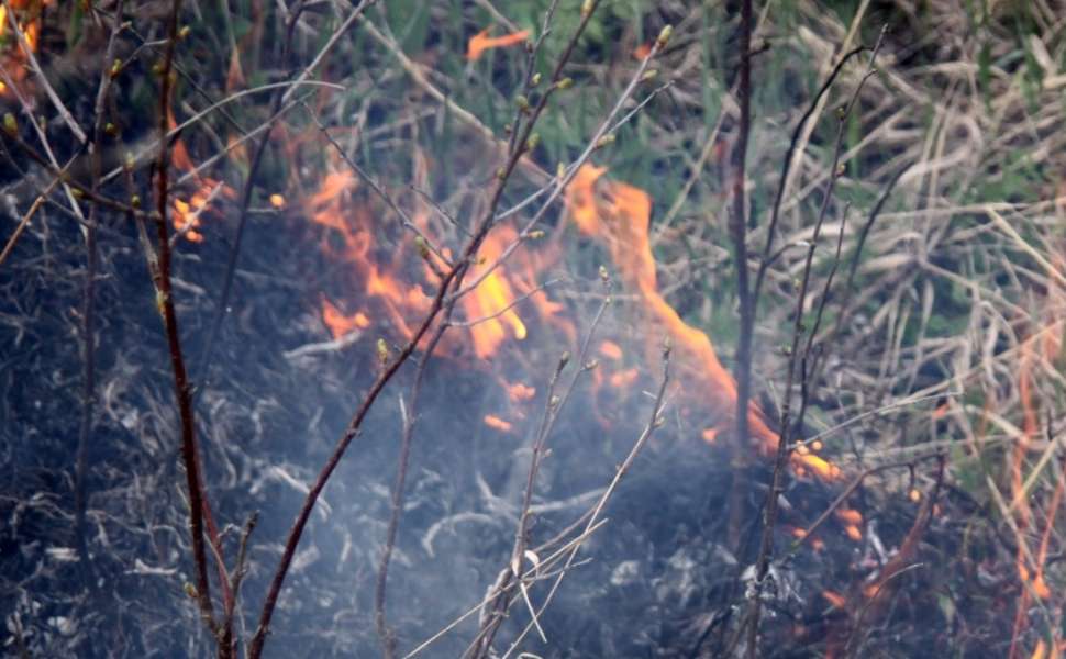 Fiamme sterpaglie incendi