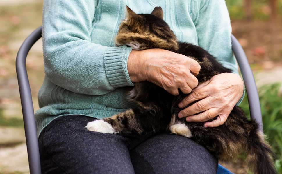 Aggiungi un nonno a tavola