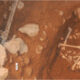 Grotta-Romito_papasidero