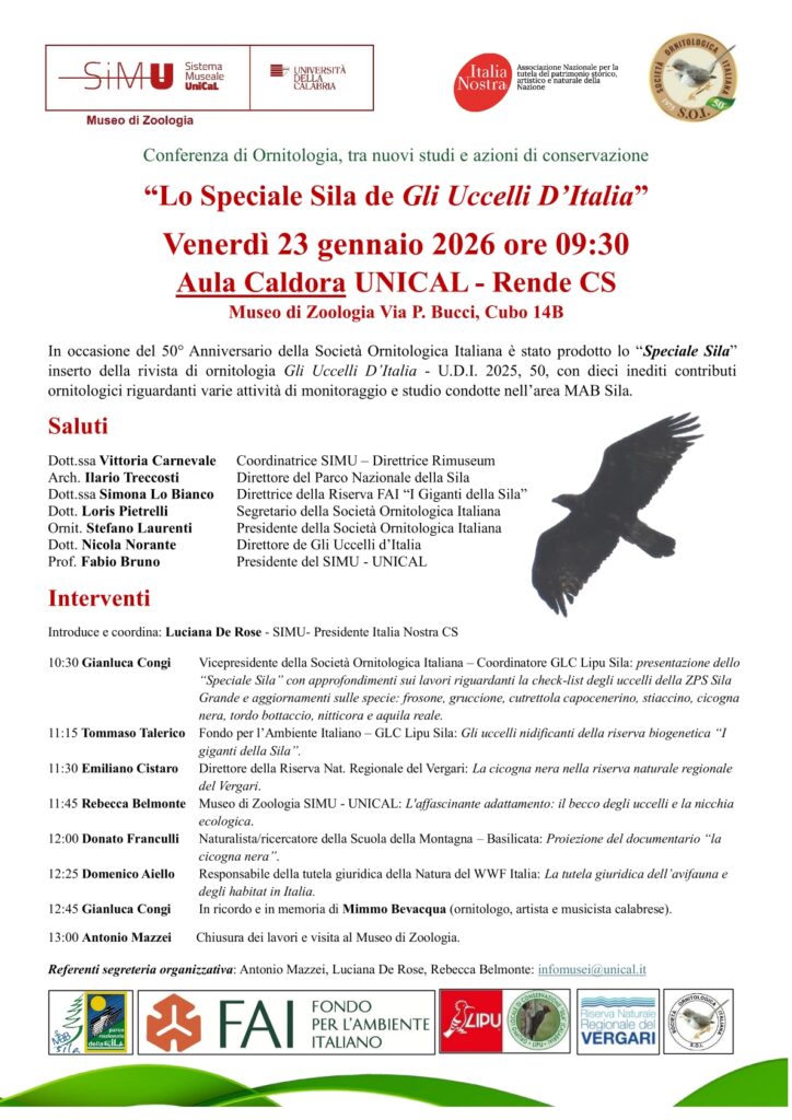 Rende, all’Università della Calabria il seminario “Lo Speciale Sila de Gli Uccelli d’Italia”