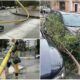 Giornata nera per Cosenza tra forte maltempo e crisi idrica: semaforo e alberi caduti in strada 56 Cosenza Maltempo