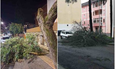 Maltempo Cosenza