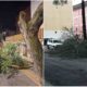 Maltempo a Cosenza, attivato il sistema di emergenza. Caruso: «L'attenzione resta alta» 77 Maltempo Cosenza