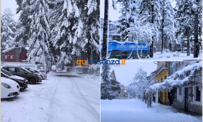 Neve Sila