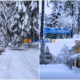 Neve Sila