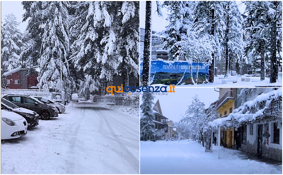 Neve Sila