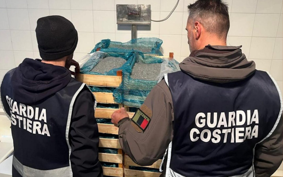Novellame di sarda, nuovo maxi sequestro in Calabria: 150 chili di bianchetto devoluto in beneficenza 52 Guardia Costiera Novella di Sarda