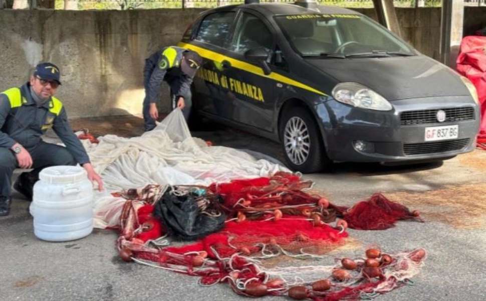 Pesca di frodo lungo il litorale jonico: sequestrati 55 chili di novellame di sarda 53 Pesca frodo guardia finanza novellame 01