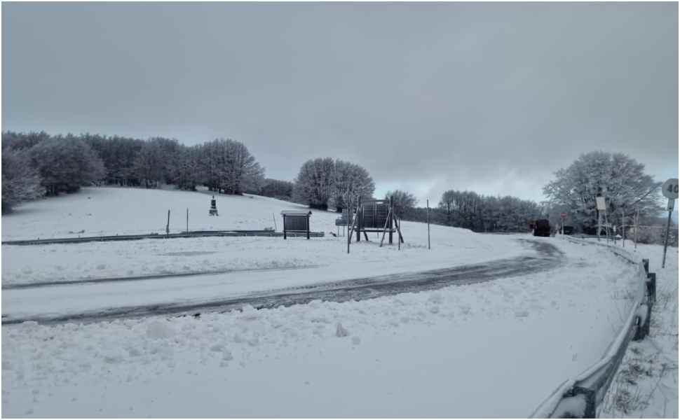 Gelo in Calabria: Sila cosentina sotto zero, -7,5° gradi e 38 centimetri di neve 53 Sila neve 1 1