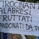 Tis, Tridico: «Occhiuto continua a promettere ma scarica i problemi sui comuni e divide i lavoratori» 71 Tirocinanti TIS - Tridico