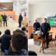 Cani antiveleno scuola - carabinieri