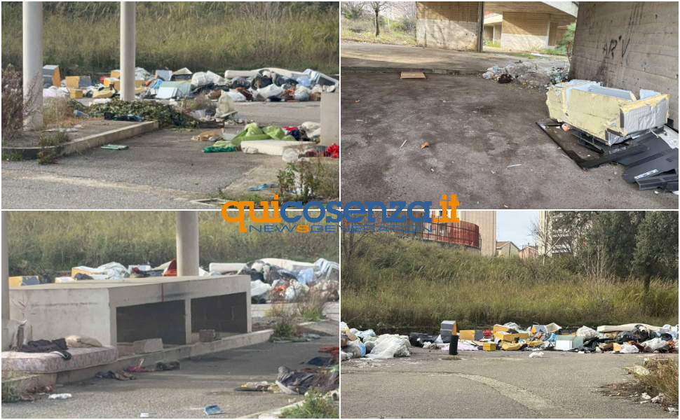 Vaglio Lise (ancora) nel degrado totale: la stazione di Cosenza è un vero e proprio 'Sottosopra' 51 Bonifica Vaglio-Lise_stazione_cosenza-degrado