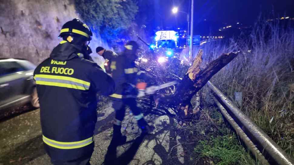 caduta_albero_cosenza