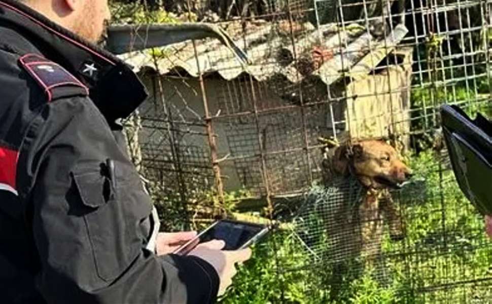cani carabinieri chiaravalle