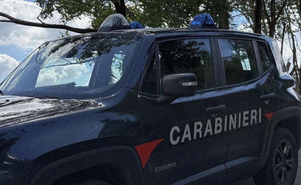 carabinieri controlli alimentari pesce discarica