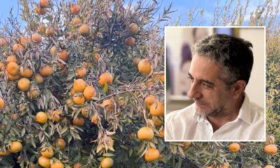 gelata sibaritide sindaco iacobini