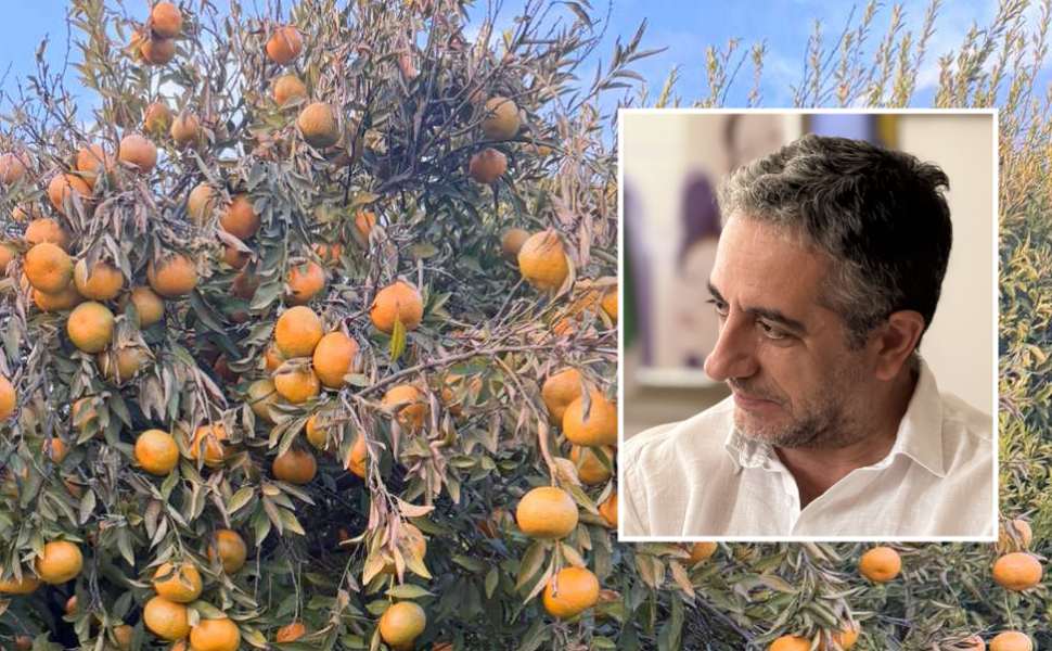 gelata sibaritide sindaco iacobini