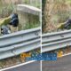 Incivili a Rende, sacchi neri pieni di rifiuti nascosti dietro il muretto a bordo strada 68 incivili rifiuti contrada vallone strada rifiuti 01