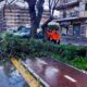 Maltempo a Rende, l'opposizione attacca: "Prevenzione al palo e cattiva manutenzione" 74 maltempo-rende