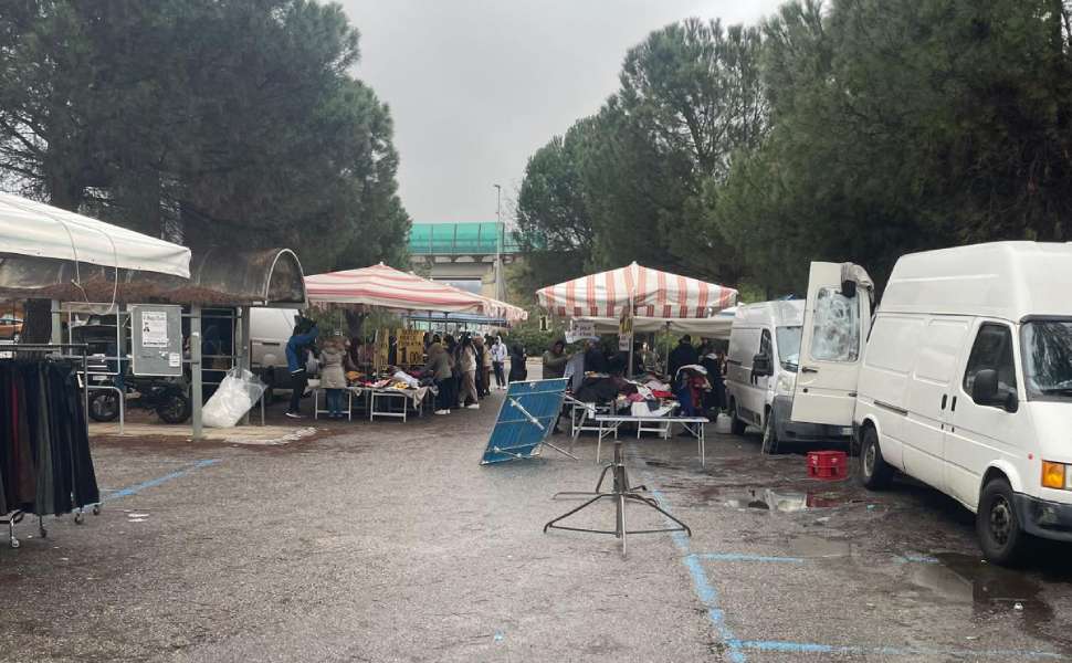 Mercato di Rende, Ana-Ugl Calabria boccia il trasferimento nell’area adiacente al fiume Surdo 51 mercato rende 02