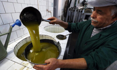 Olio tunisino calabria