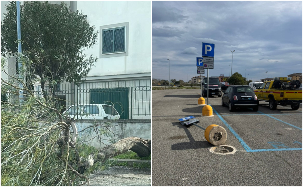 Raffiche di vento su Corigliano-Rossano, alberi caduti e pali divelti: attivato il numero della ProCiv 51 raffiche vento corigliano rossano