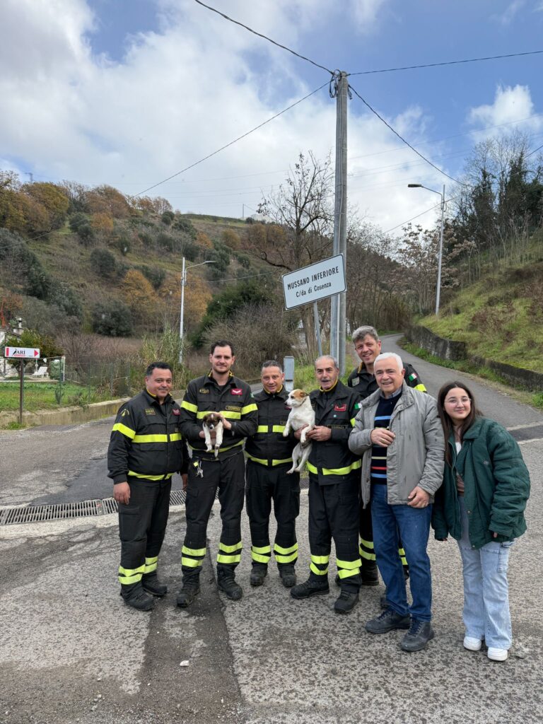 salvataggio-cosenza-cani-3