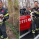 Cucciolo e mamma precipitati nel dirupo, il salvataggio con il lieto fine a Cosenza 68 salvataggio-cosenza_cani_vigili-del-fuoco