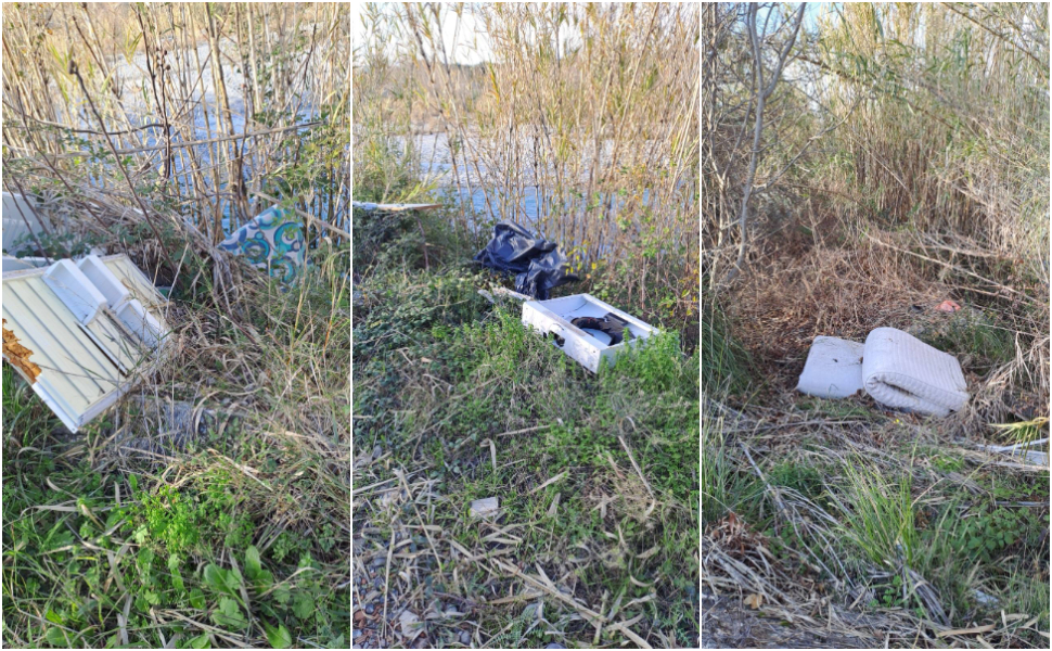 Scalea: rifiuti nell’alveo del fiume Lao, l’allarme di Italia Nostra «più controlli e bonifiche urgenti» 53 scalea alveo fiume lao rifiuti 01