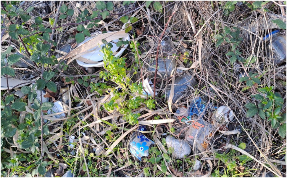 Scalea: rifiuti nell’alveo del fiume Lao, l’allarme di Italia Nostra «più controlli e bonifiche urgenti» 56 scalea alveo fiume lao rifiuti 05