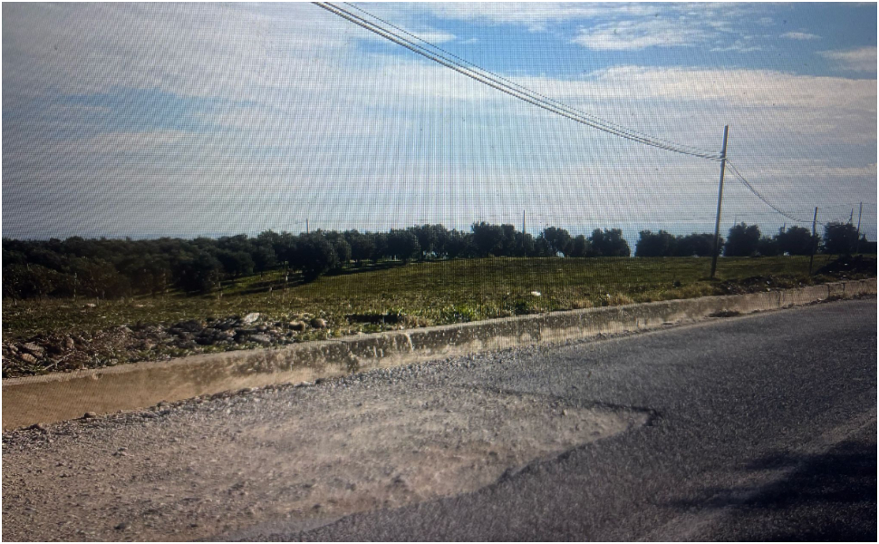 strade-provinciali-cassano-ionio