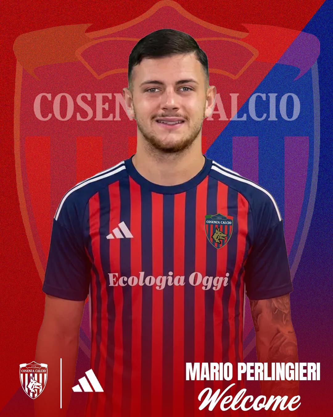 Perlingieri