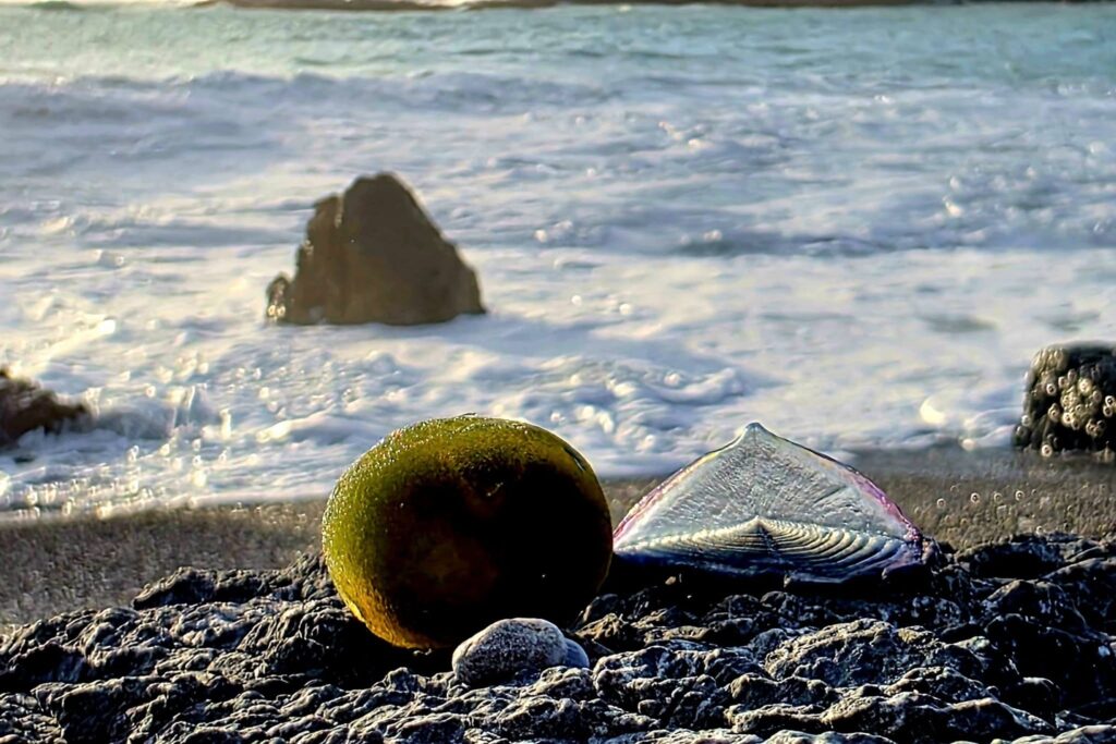 638286119 10234662788694813 4212387212691935740 n