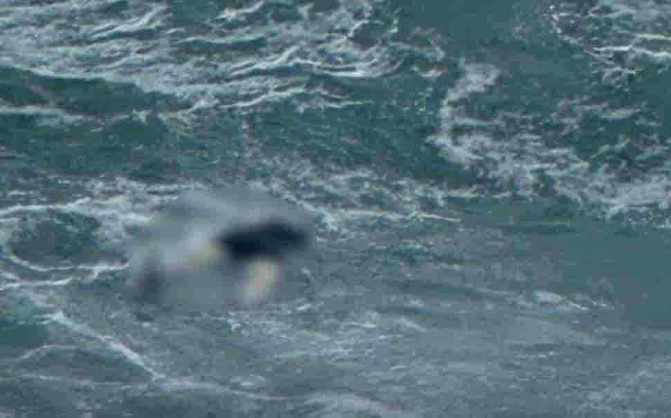 Orrore al largo delle Roccette: avvistati diversi cadaveri in mare. Scatta la macchina dei soccorsi 51 Cadavere Tropea