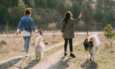 Castrolibero_ passeggiata_animali