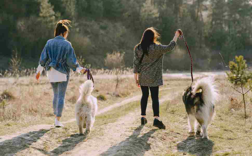 Castrolibero_ passeggiata_animali