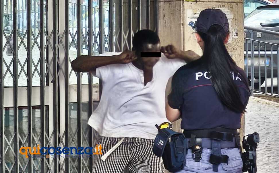 emergenza sociale cosenza aggressioni