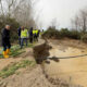 Crati fermato, Laghi di Sibari salvi: “La ferita è ricucita”, ora via al ritorno alla normalità 52 Crati-esondazione-cassano