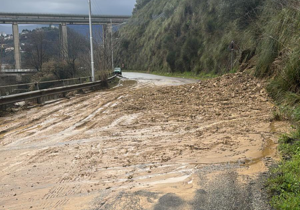 Cosenza, "Nessun pericolo imminente di frana sopra il liceo Telesio. Scuola domani regolarmente aperta" 53 Frana Cosenza via Romualdo Montagna2