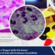 Haloterapia-medica-accademia-italiana