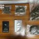 Marijuana guardia finanza 01