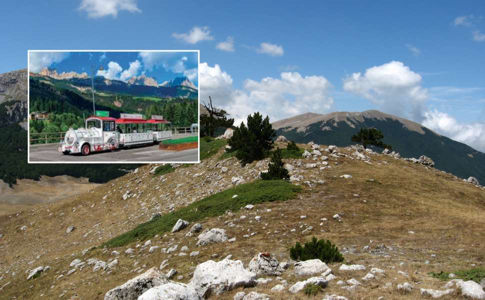 Parco del Pollino - Trenini