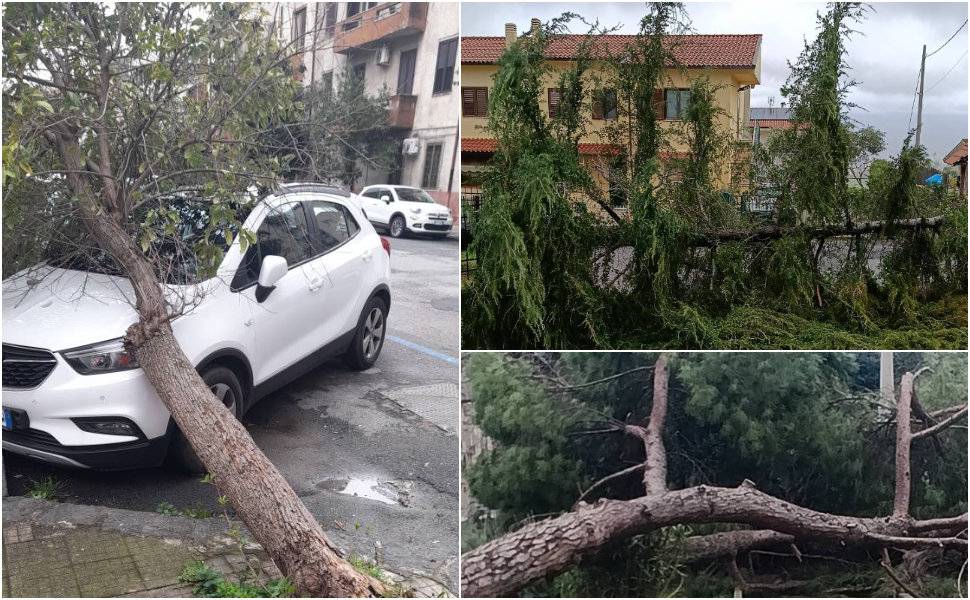 Raffiche vento alberi caduti maltempo Cosenza