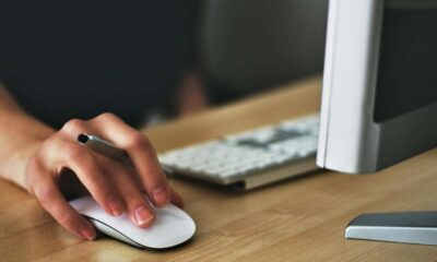 Voto telematico - proposta orlandino greco - pc computer