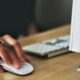 Voto telematico - proposta orlandino greco - pc computer
