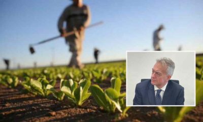 agricoltori calabresi_Arcea