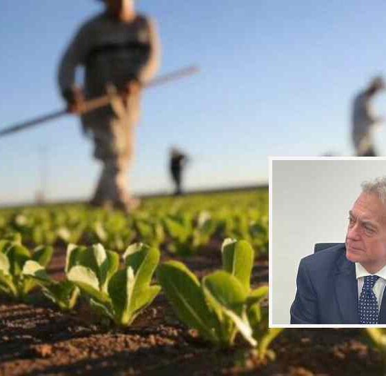 agricoltori calabresi_Arcea